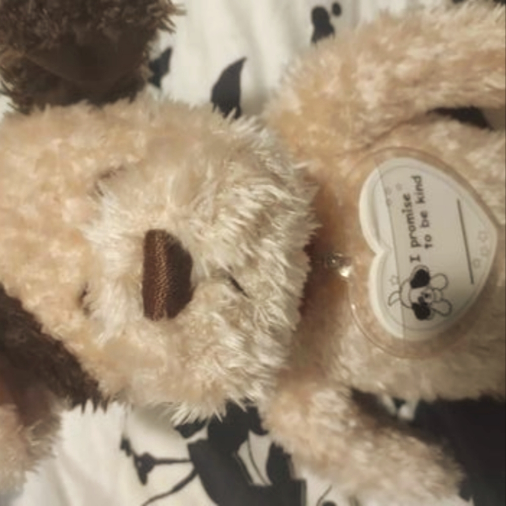 GUND Make a Promise Puppy Tan 17 inch with Puppy Dog Paper Hearts Pouch 5037